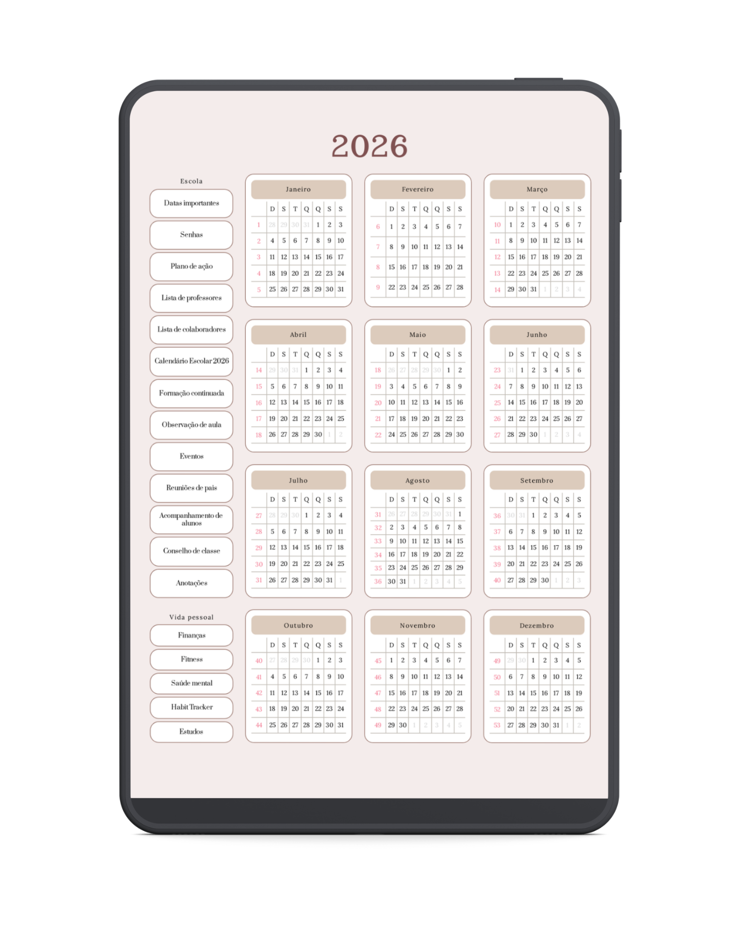 Salada da Coordenadora